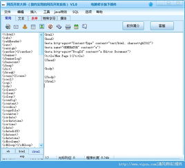 网页开发大师 官方版下载与绿色版体验指南